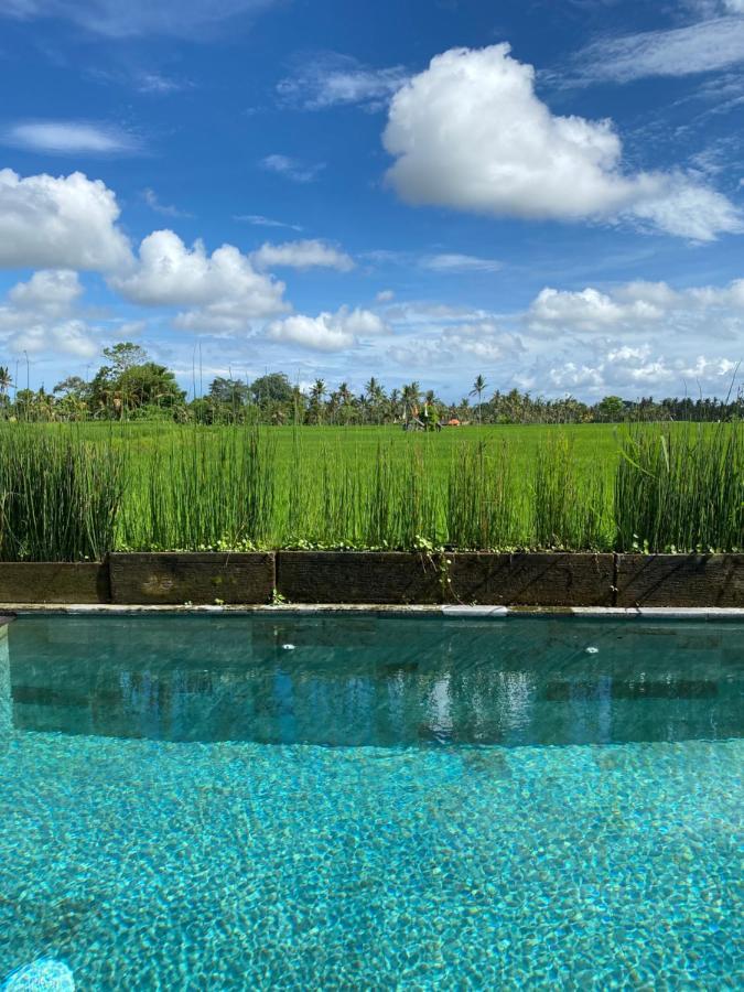 Casa Avana Ubud Dış mekan fotoğraf