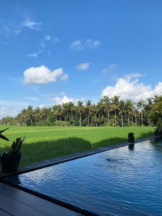 Casa Avana Ubud Dış mekan fotoğraf