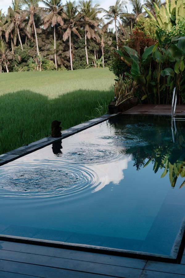 Casa Avana Ubud Dış mekan fotoğraf