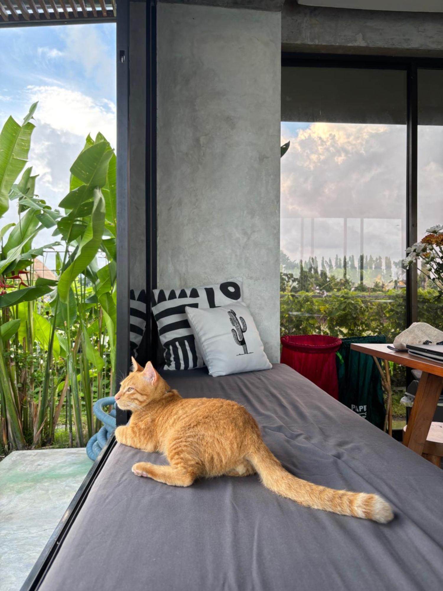 Casa Avana Ubud Dış mekan fotoğraf